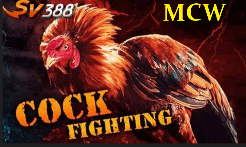 ĐẤU TRƯỜNG THOMO ĐẲNG CẤP SV388 TẠI NHÀ CÁI MCW