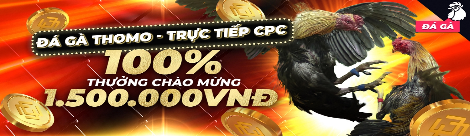 Khuyến mãi hấp dẫn dành cho người chơi đá gà