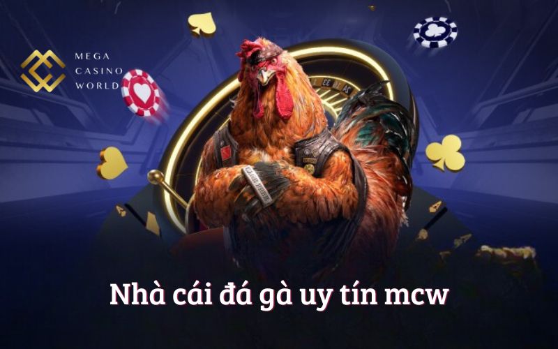 Khám Phá Top 5 Nhà Cái Đá Gà Uy Tín Nhất Hiện Nay