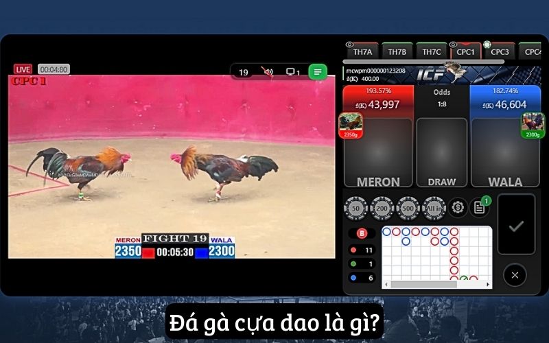 Đá Gà Mcw – Địa Điểm Cá Cược Đá Gà Cựa Dao Chất Lượng